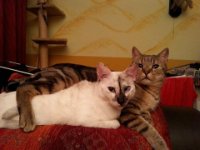 ein Bild aus dem Album